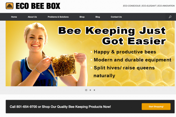 Eco Bee Box